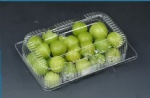 Fruit box of blister packaging XM-EPB103