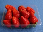 Food Blister Tray